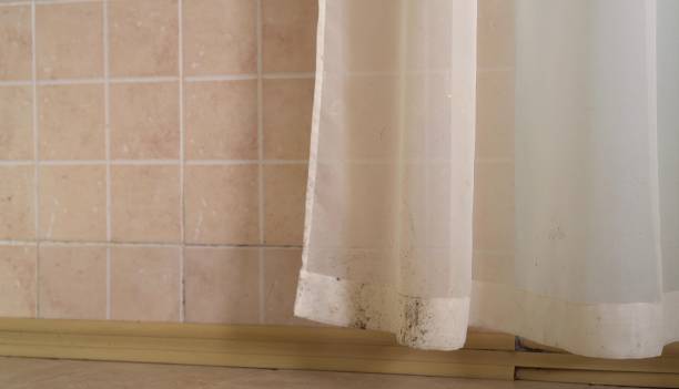 Best Mold-Related Health Consultation  in Penrose, CO