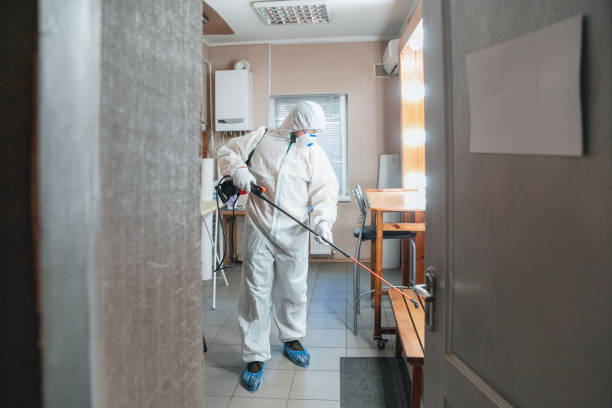 Best Crawl Space Mold Remediation  in Penrose, CO