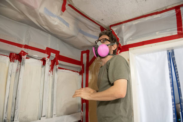 Best Water Damage & Mold Remediation  in Penrose, CO