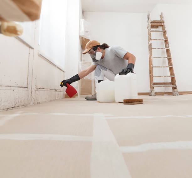 Best Biohazard Mold Removal  in Penrose, CO